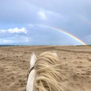 6-daagse paardrijtocht Atlantic Trail  – Ierland - Afbeelding 6
