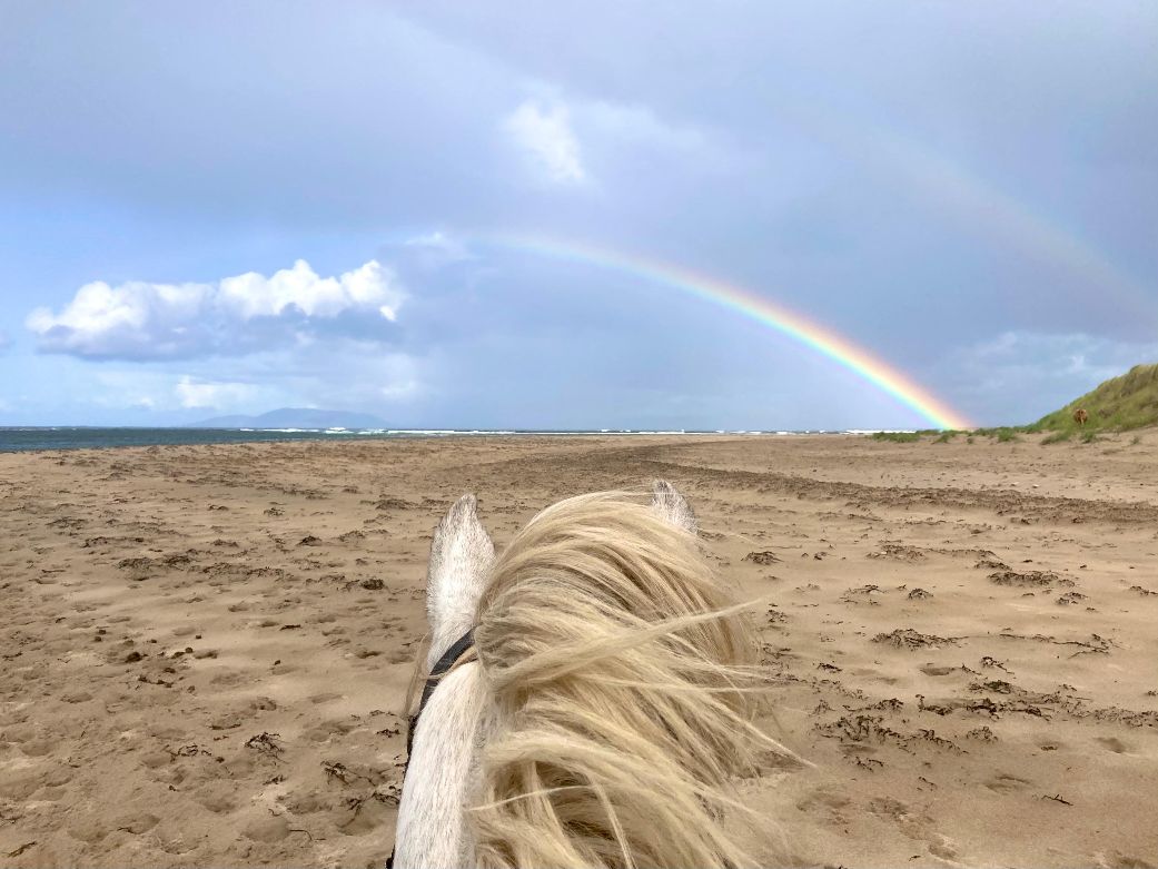 6-daagse paardrijtocht Atlantic Trail  – Ierland - Afbeelding 6