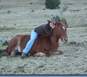 Ranchvakantie met verschillende ritten/tochten in Pucón - Chili - Afbeelding 2