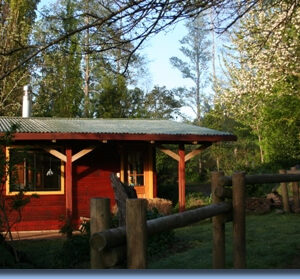 Ranchvakantie met verschillende ritten/tochten in Pucón - Chili - Afbeelding 5