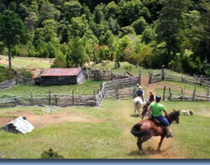 Ranchvakantie met verschillende ritten/tochten in Pucón - Chili - Afbeelding 4