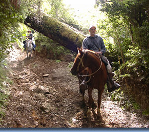 Ranchvakantie met verschillende ritten/tochten in Pucón - Chili - Afbeelding 3