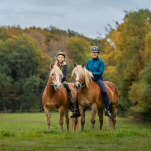 Paardrijkamp Söderåsen - Zweden - Afbeelding 15