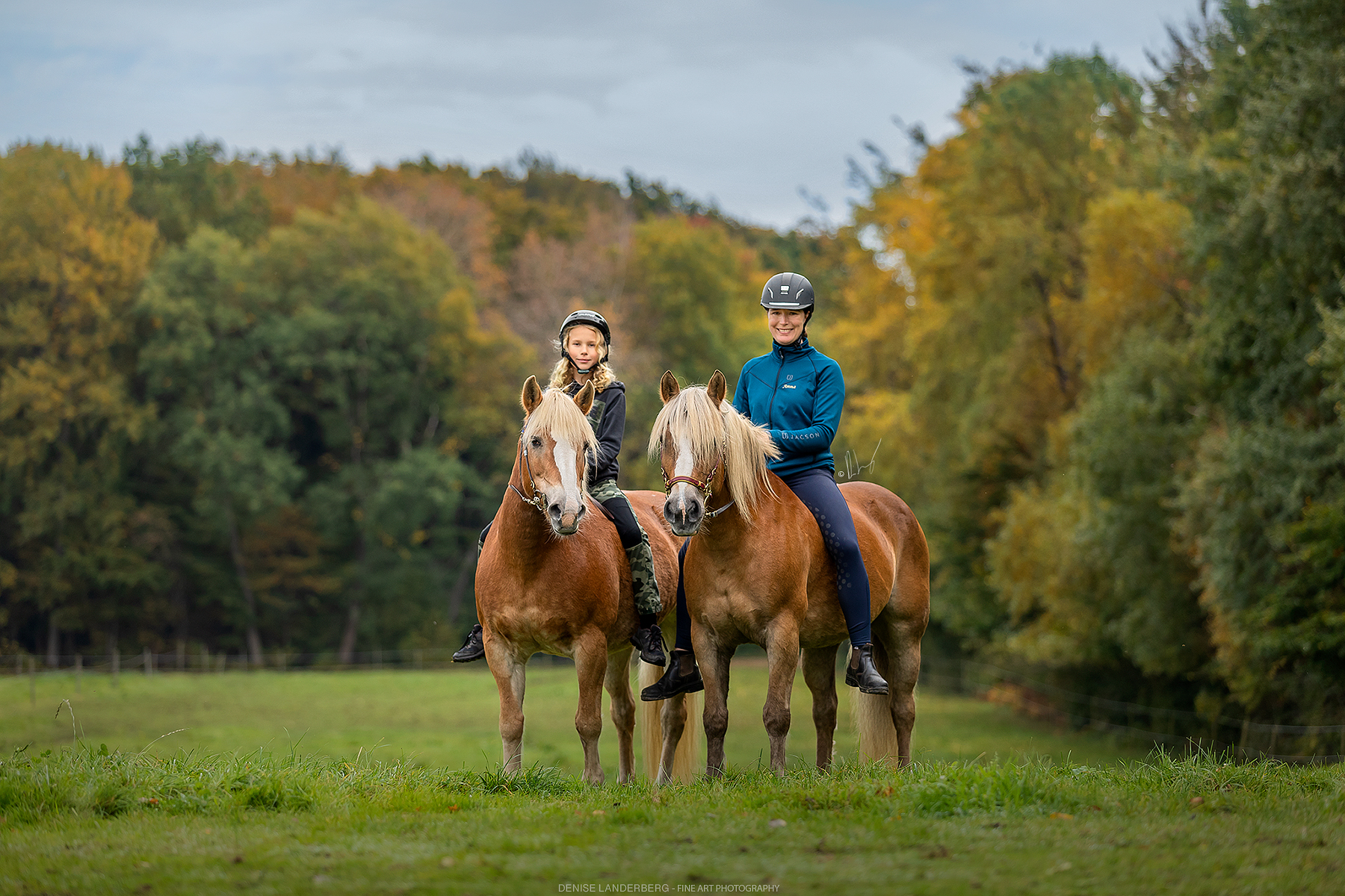 Paardrijkamp Söderåsen - Zweden - Afbeelding 15