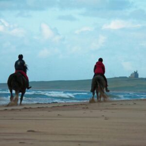 6-daagse paardrijtocht Atlantic Trail  – Ierland - Afbeelding 22