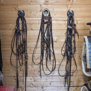 6-daagse Paardentocht Natuurreservaat en Strand van Punta Ala Toscane - Italië - Afbeelding 20