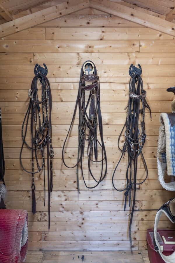 6-daagse Paardentocht Natuurreservaat en Strand van Punta Ala Toscane - Italië