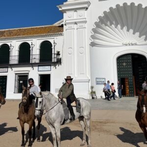 3-daagse paardrijtocht Nationaal Park Doñana Andalusië - Spanje - Afbeelding 3