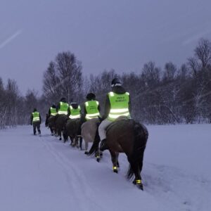 Buitenrit onder het noorderlicht (evt. met overnachting) bij Tromsø - Noorwegen - Afbeelding 2