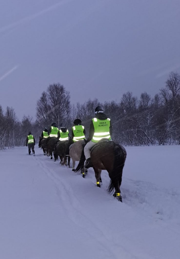 Buitenrit onder het noorderlicht (evt. met overnachting) bij Tromsø - Noorwegen