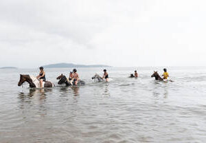 7-daagse Paardrijtocht Ultieme Avonturenweek - Schotland - Afbeelding 3