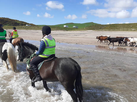 7-daagse Paardrijtocht Ultieme Avonturenweek - Schotland