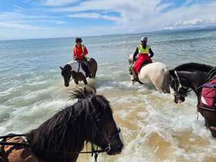 7-daagse Paardrijtocht Ultieme Avonturenweek - Schotland