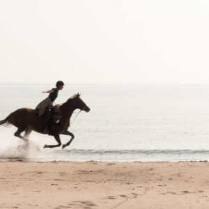 7-daagse Paardrijtocht Ultieme Avonturenweek - Schotland - Afbeelding 4