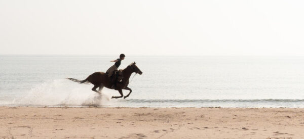 7-daagse Paardrijtocht Ultieme Avonturenweek - Schotland