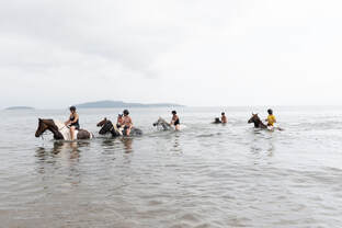 7-daagse Paardrijtocht Ultieme Avonturenweek - Schotland