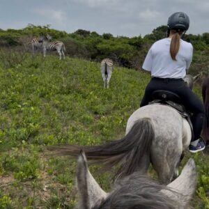 7-daagse Paardrijsafari – St. Lucia - Zuid-Afrika