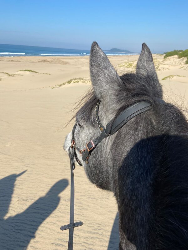 7-daagse Paardrijsafari – St. Lucia - Zuid-Afrika