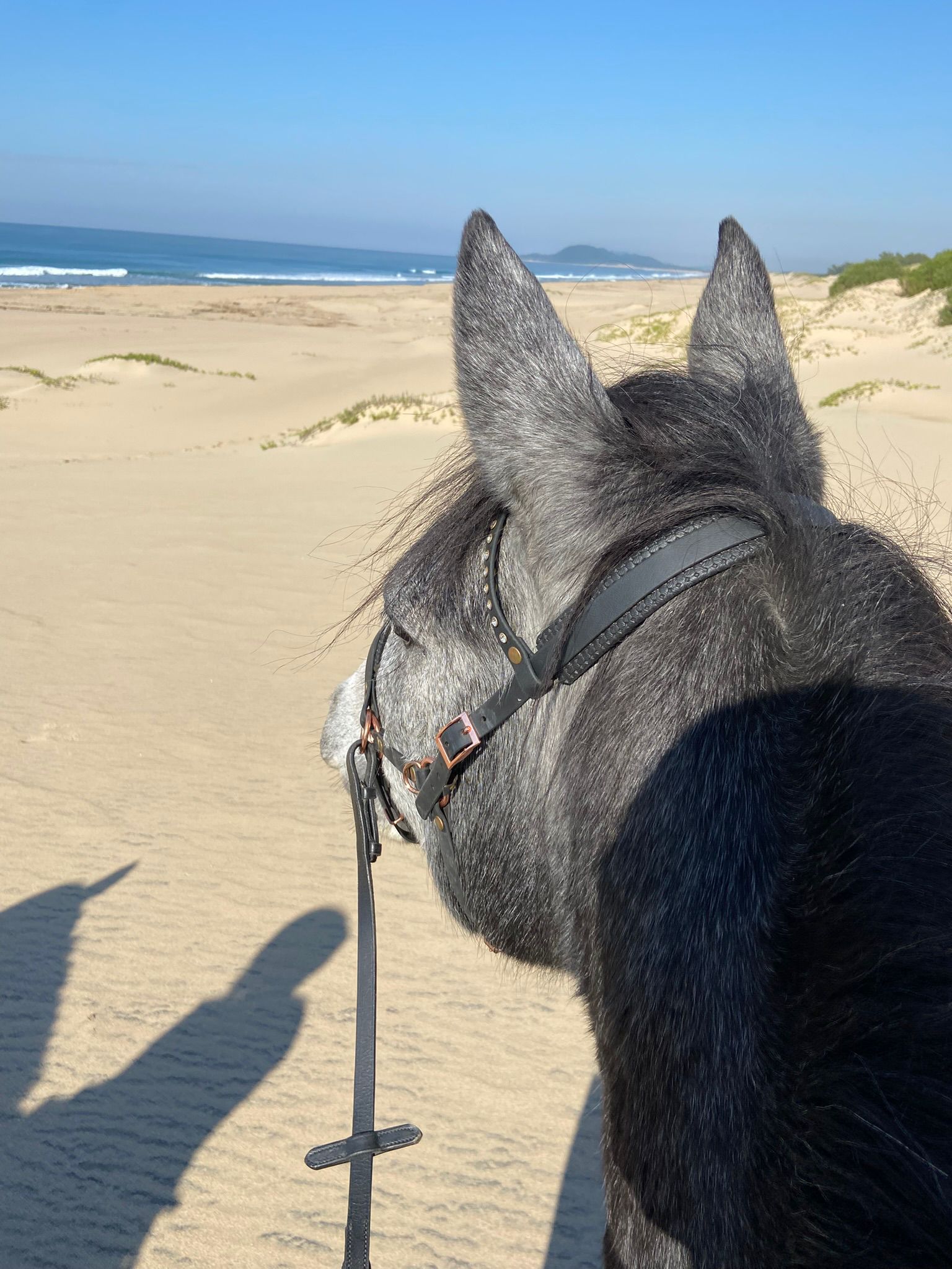 7-daagse Paardrijsafari – St. Lucia - Zuid-Afrika - Afbeelding 5