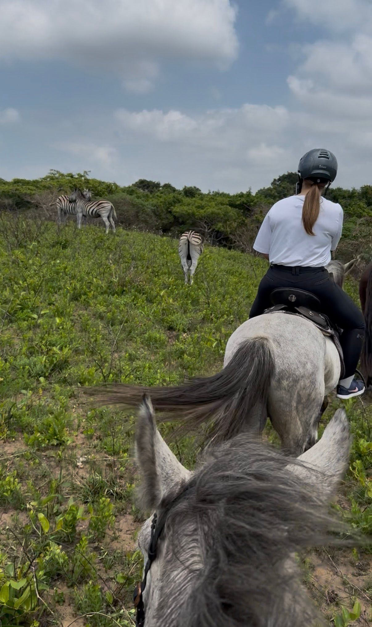 7-daagse Paardrijsafari – St. Lucia - Zuid-Afrika - Afbeelding 1