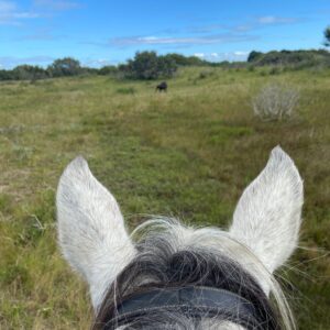 7-daagse Paardrijsafari – St. Lucia - Zuid-Afrika - Afbeelding 4
