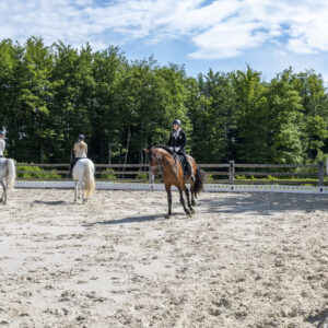 Retraite met paardrijden Mokronog Trebelno - Slovenië - Afbeelding 7