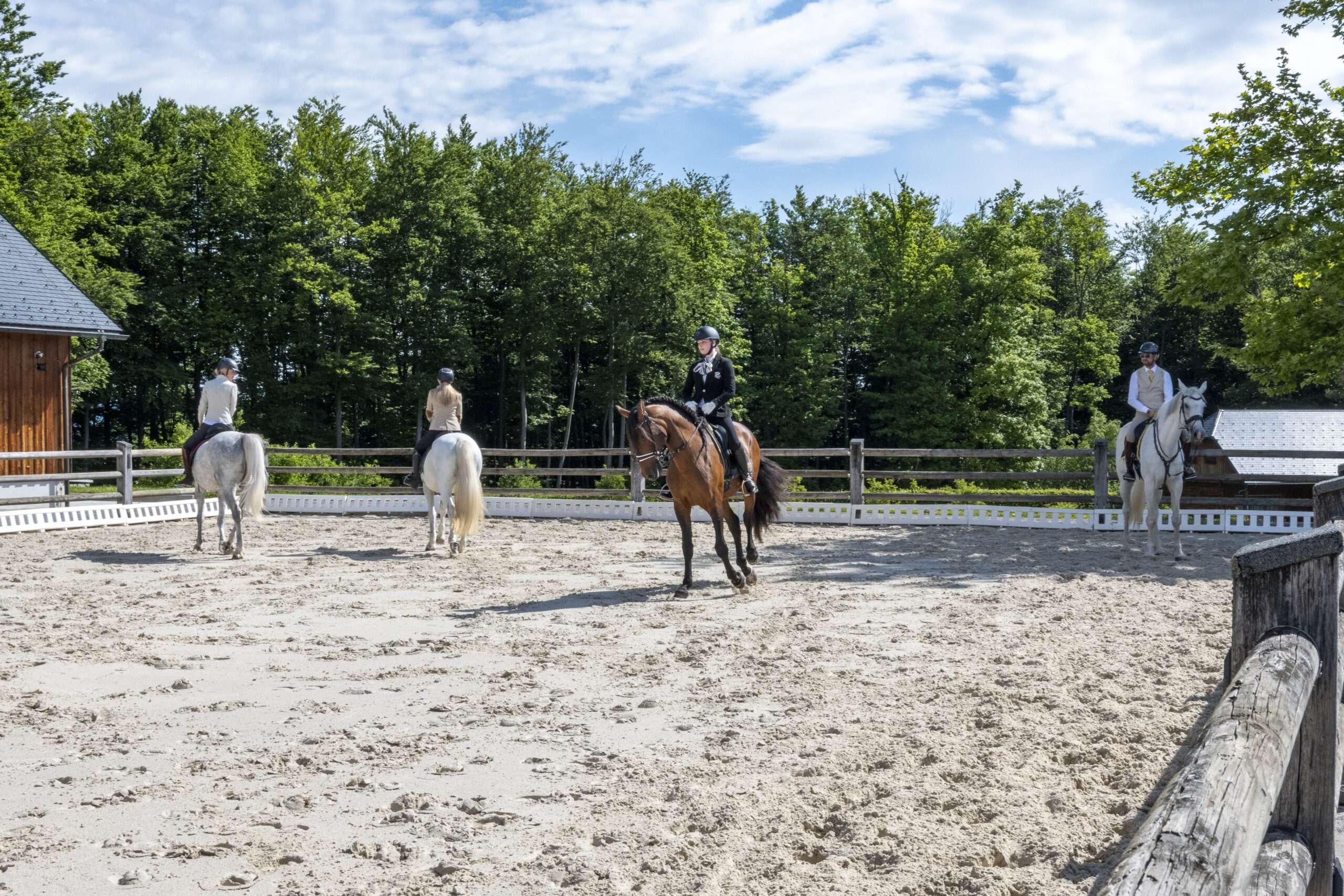 Retraite met paardrijden Mokronog Trebelno - Slovenië - Afbeelding 7