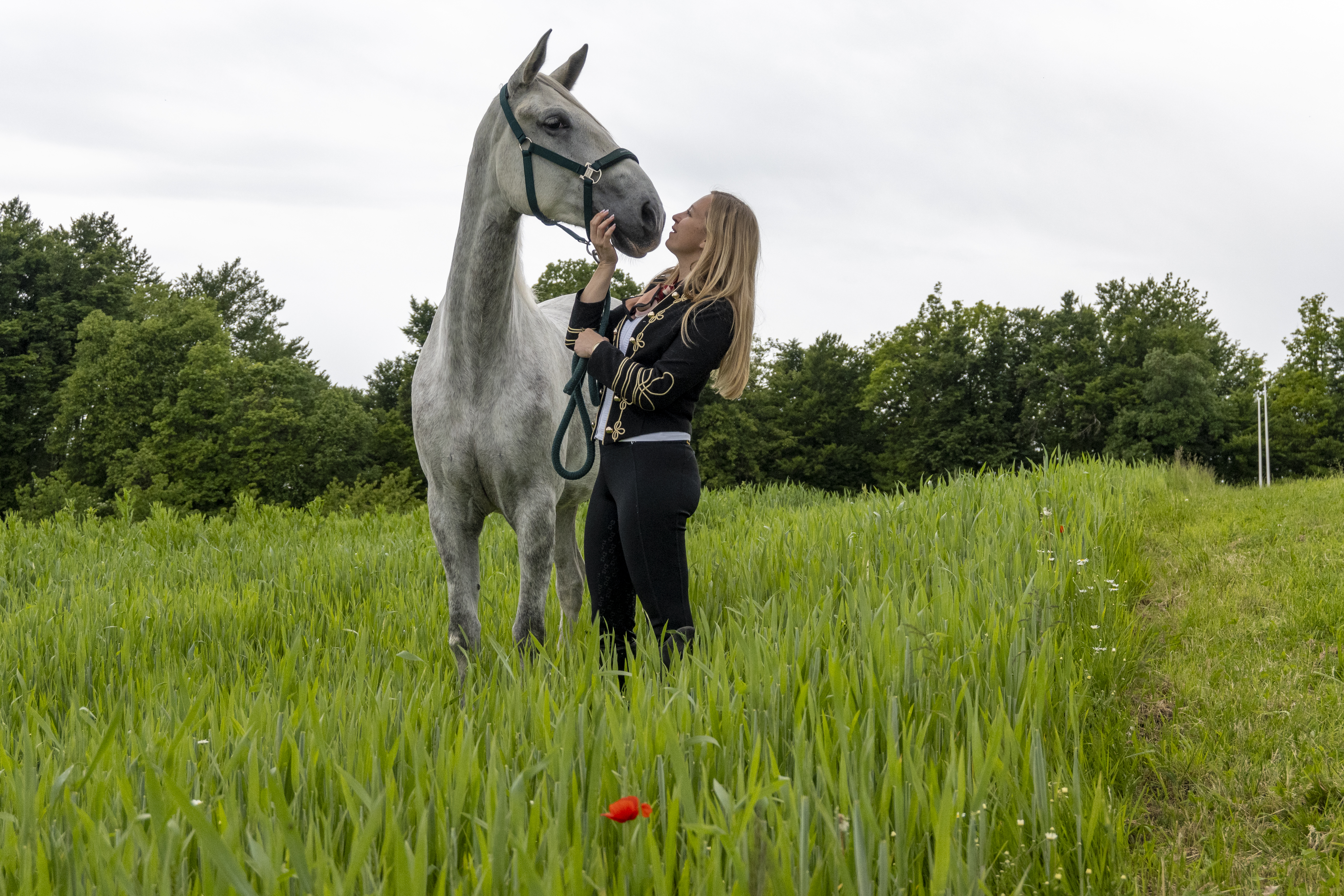 Retraite met paardrijden Mokronog Trebelno - Slovenië - Afbeelding 3