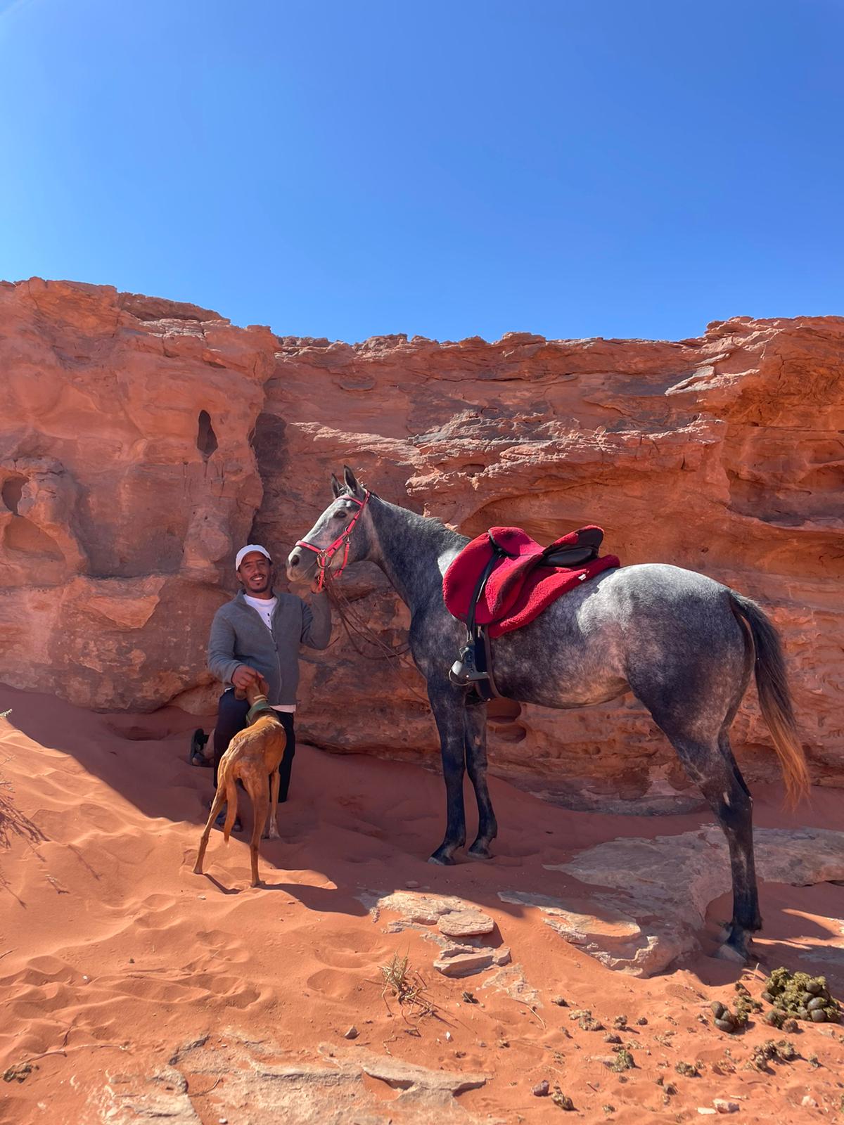 10-daagse paardrijtocht Van de Roze Stad naar de Vallei van de Maan - Jordanië