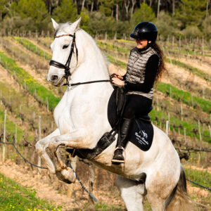 Paardrijdagtocht in de Randa Vallei excursie Mallorca - Spanje
