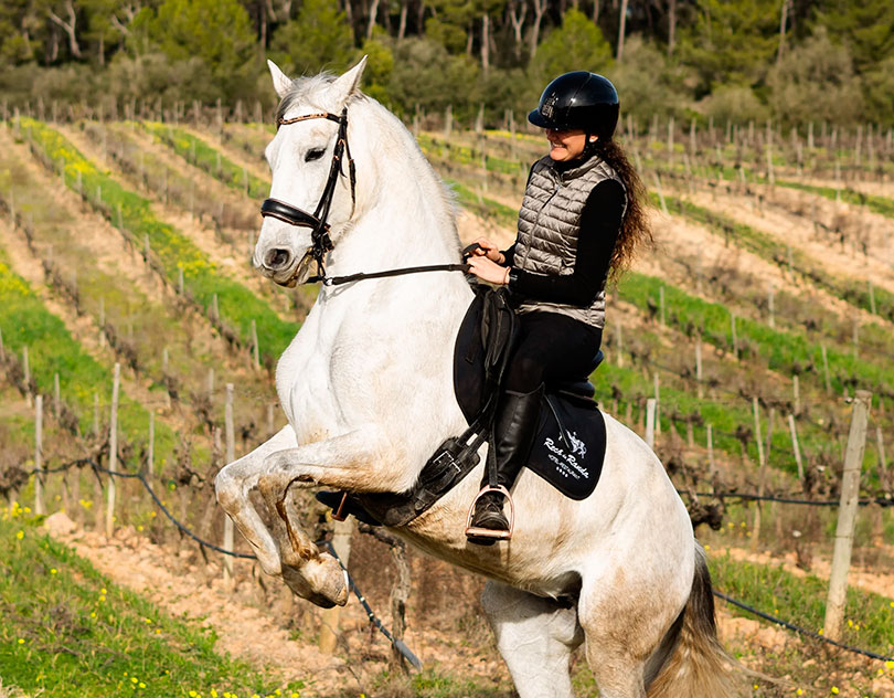 Paardrijdagtocht in de Randa Vallei excursie Mallorca - Spanje