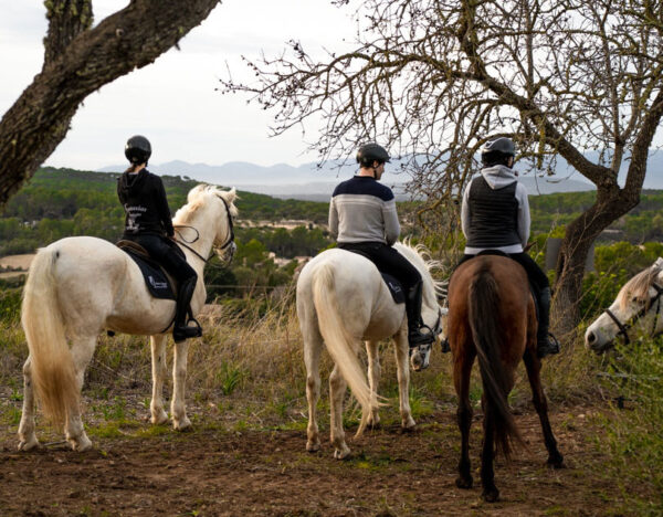 Buitenrit Mallorcaanse Zonsondergang excursie - Spanje