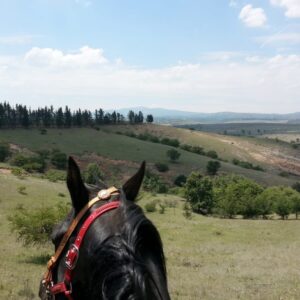 6-daagse paardrijtocht Hidalgo - Mexico - Afbeelding 2