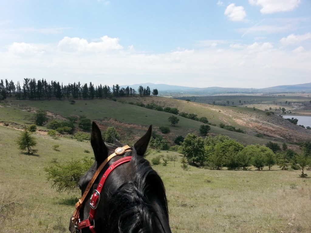 6-daagse paardrijtocht Hidalgo - Mexico