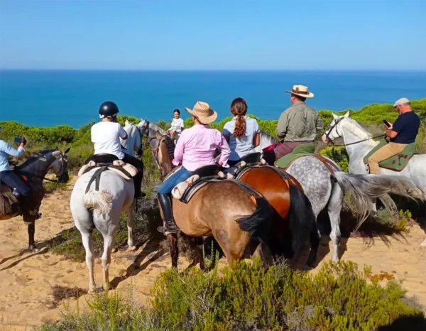 Privérit Strand Doñana Andalusië - Spanje