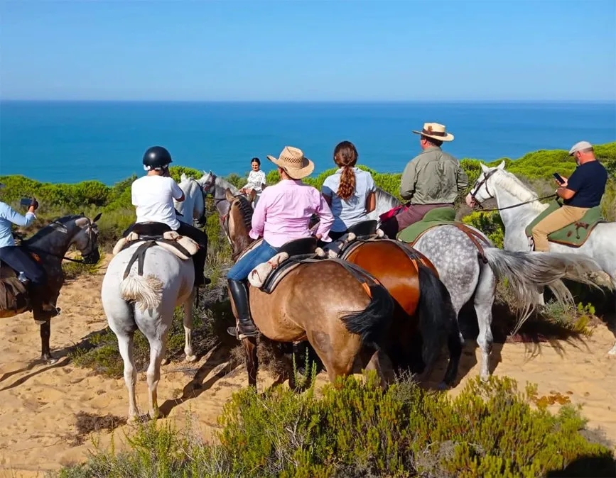 Privérit Strand Doñana Andalusië - Spanje - Afbeelding 2