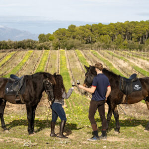 Buitenrit Andalusisch Paard & Mallorcaanse Wijnen excursie Mallorca- Spanje - Afbeelding 2