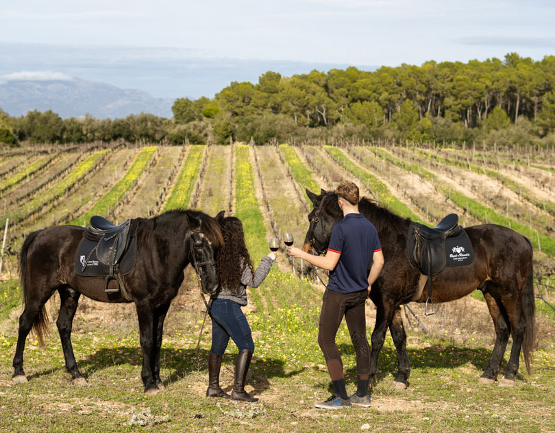 Buitenrit Andalusisch Paard & Mallorcaanse Wijnen excursie Mallorca- Spanje - Afbeelding 2