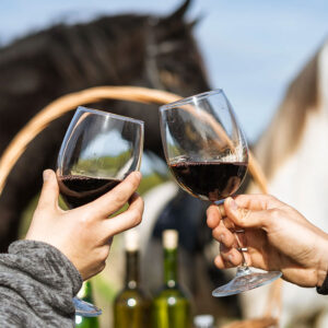 Buitenrit Andalusisch Paard & Mallorcaanse Wijnen excursie Mallorca- Spanje