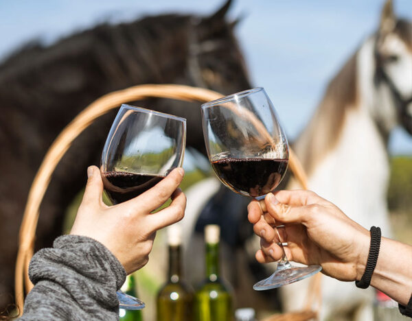 Buitenrit Andalusisch Paard & Mallorcaanse Wijnen excursie Mallorca- Spanje