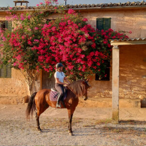 Buitenrit Andalusisch Paard & Mallorcaanse Wijnen excursie Mallorca- Spanje - Afbeelding 5