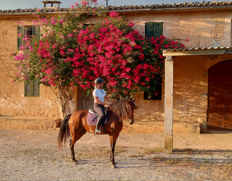 Buitenrit Andalusisch Paard & Mallorcaanse Wijnen excursie Mallorca- Spanje