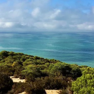 Privérit Strand Doñana Andalusië - Spanje - Afbeelding 5