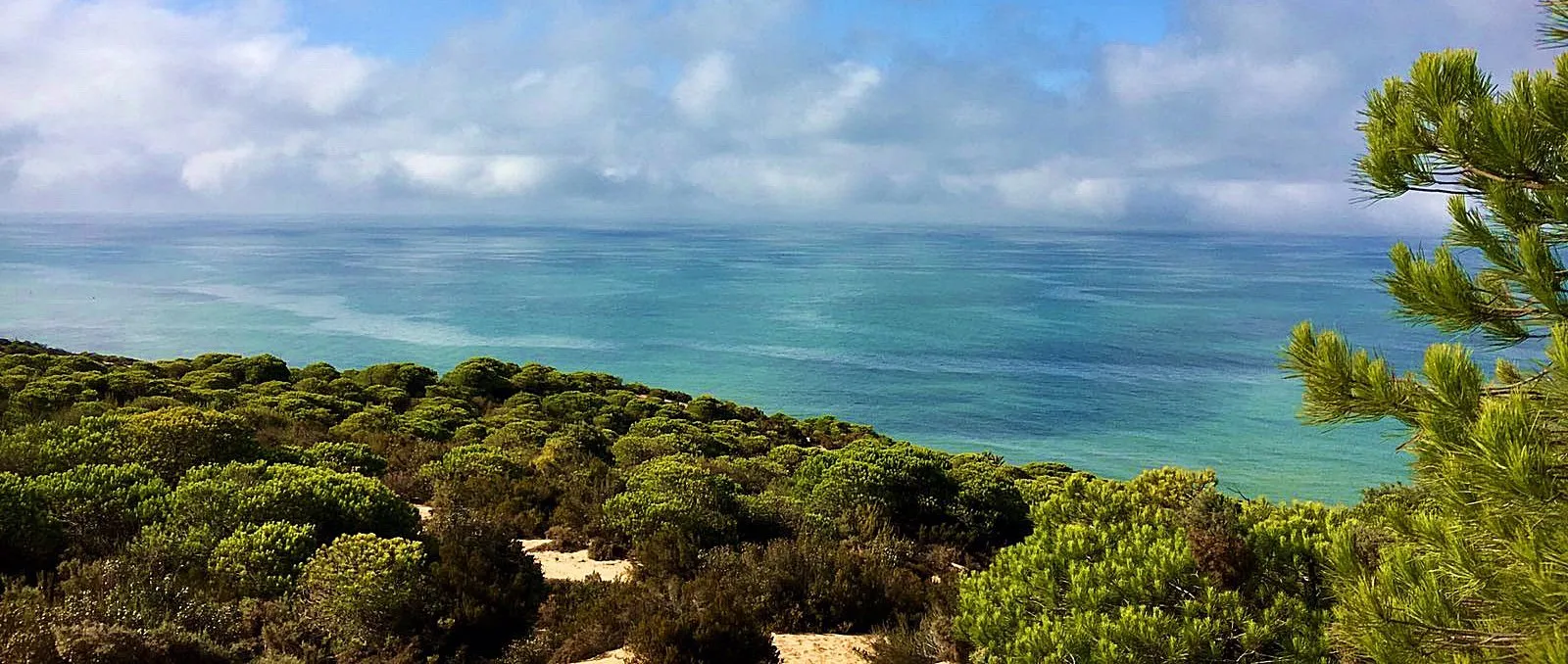 Privérit Strand Doñana Andalusië - Spanje