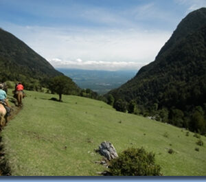 Ranchvakantie met verschillende ritten/tochten in Pucón - Chili - Afbeelding 12