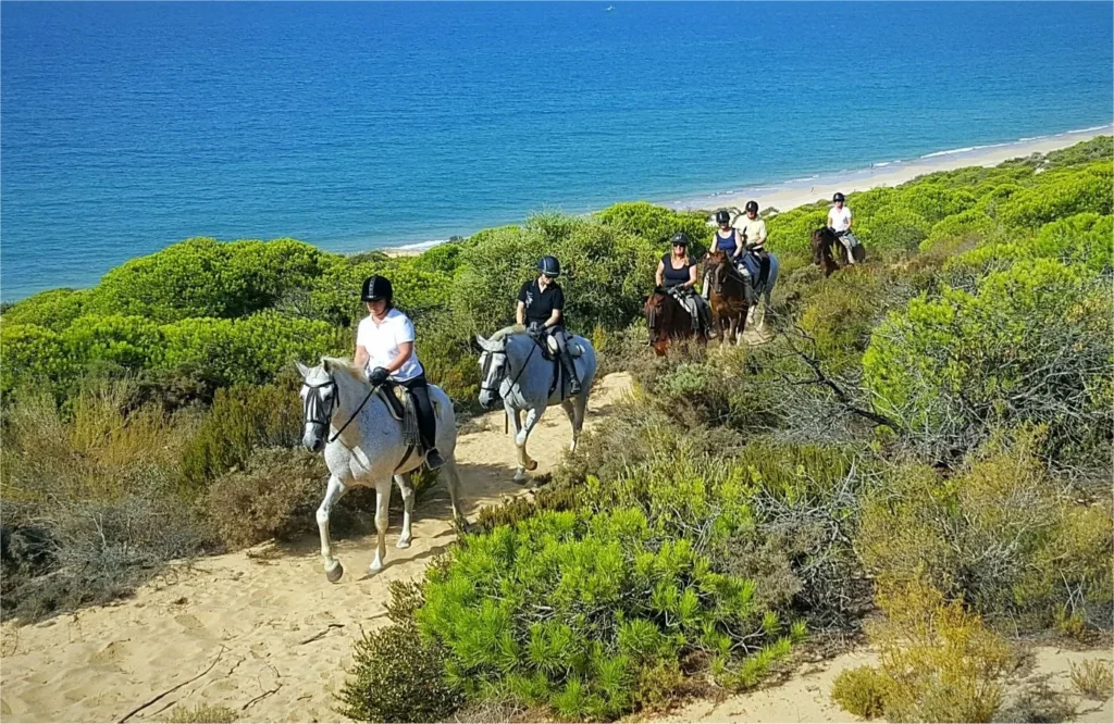 Privérit Strand Doñana Andalusië - Spanje