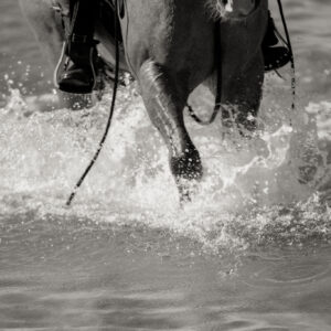 4-daagse Paardentocht Cala Violina & Strand van Punta Ala Toscane - Italië - Afbeelding 21