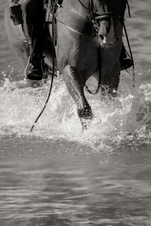 4-daagse Paardentocht Cala Violina & Strand van Punta Ala Toscane - Italië