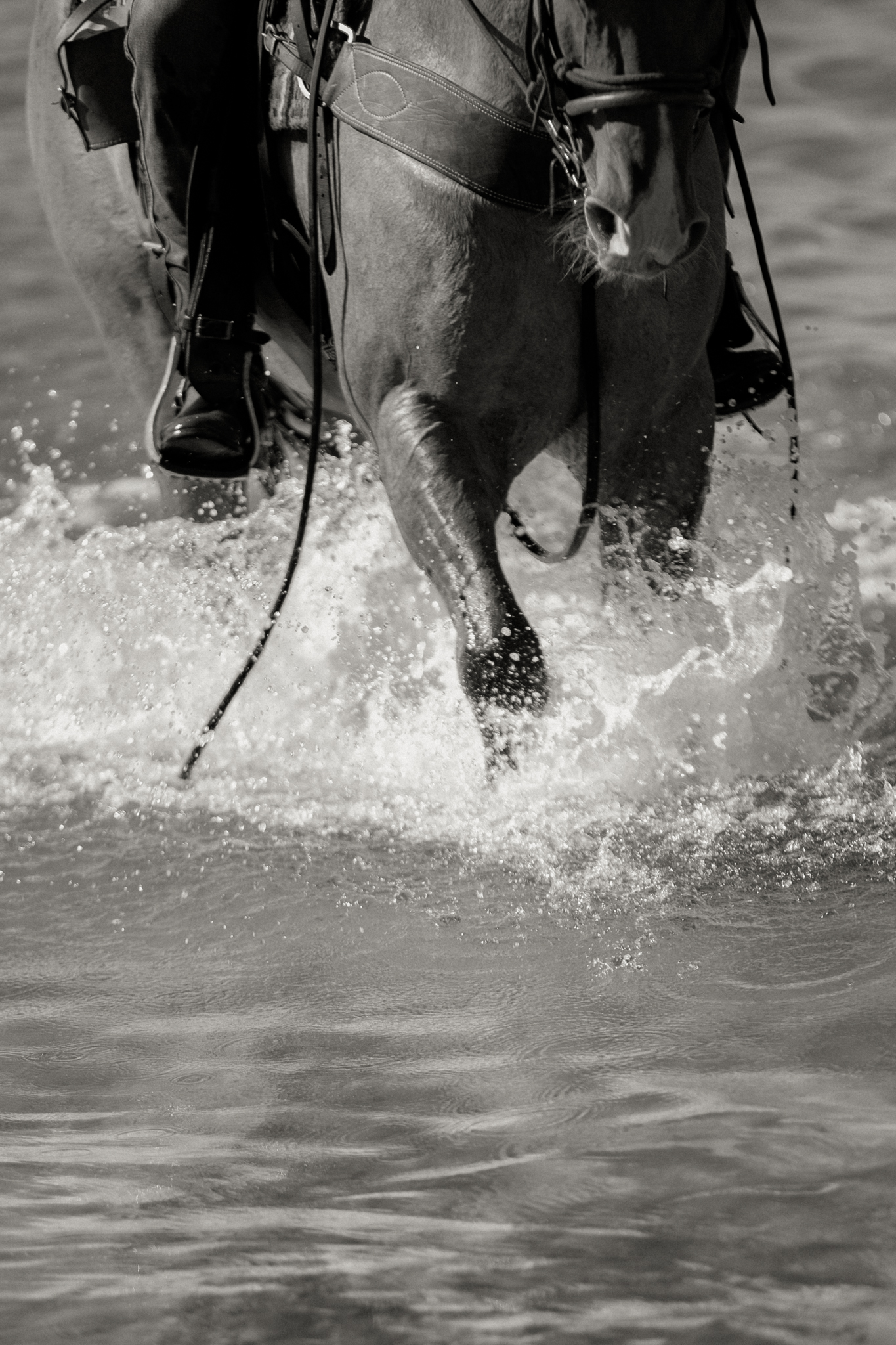 4-daagse Paardentocht Cala Violina & Strand van Punta Ala Toscane - Italië - Afbeelding 21