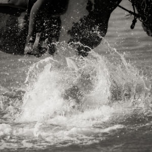 6-daagse Paardentocht Natuurreservaat en Strand van Punta Ala Toscane - Italië - Afbeelding 29
